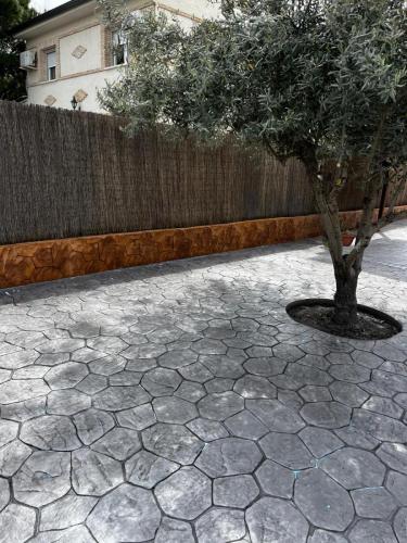 WhatsApp Image 2026-01-15 at 14.26.25 (6)