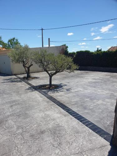 WhatsApp Image 2026-01-15 at 14.26.30